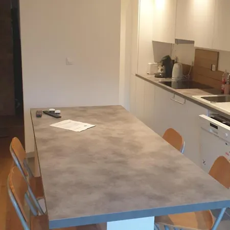 Apartment Magnifique Renove Avec Terrasse